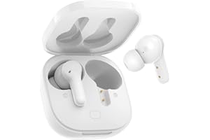 QCY T13 ワイヤレスイヤホン Bluetooth 5.1 40時間再生 ブルートゥースイヤホン マイク内蔵 クリアな通話 専用APP対応 Type-C急速充電 自動ペアリング 左右分離型 片耳/両耳モード タッチ簡単操作 SBC/AAC対応 I