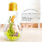 Merci la fleur Ampoule series アンプル アニマル 電球テラリウム アレンジ プリザーブドフラワー (ミニチュアダックスフンド)