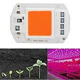 5pcs 50W 220VフルスペクトラムLED COBチップは植物のために光を伸ばします