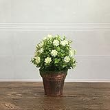 suyunyuan花人工グリーン植物人工Miniascape盆栽/Pottedホームバルコニー One Size ホワイト ASDFG561363646173