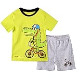 OKIDSO 子供ポロシャツ　ボーイズシャツ　半ズボン ベビー服 上下セット　普段着　旅行用　夏秋新作　綿100% 吸汗 4柄　100-140CM　オシャレ (130CM, 鰐柄)