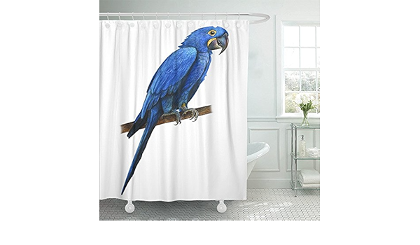 Amazon Emvency 72 X72 シャワーカーテン防水ブルーparrot Hyacinth Macaw図面スミレコンゴウインコブルートロピカルara Beakホーム装飾ポリエステルファブリックフック 72x72 イエロー シャワーカーテン ホーム キッチン オンライン通販