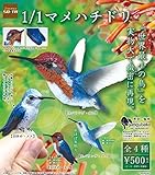 1/1マメハチドリ 全4種セット SO-TA