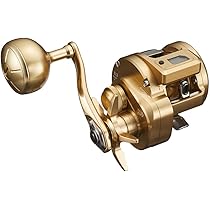 Amazon | ダイワ(DAIWA) 船竿 極鋭ヒラメ EX MH-243 | ダイワ