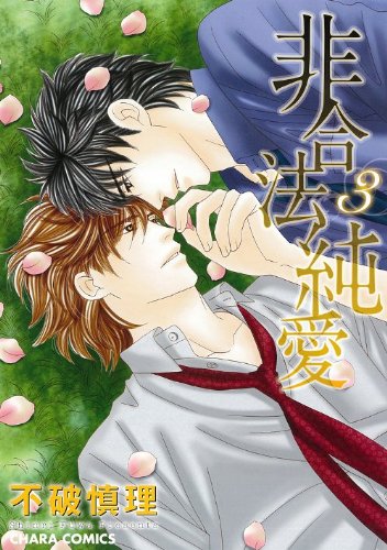 『非合法純愛』3巻