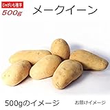 じゃがいも 種芋 メークイン 500g ジャガイモ