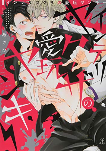 『インテリヤクザの愛玩ヤンキー』