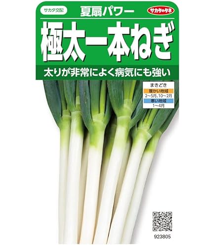 大河の轟き　1dl 裸種子 ネギ 【大河の轟き】 夏ネギから冬ネギまで使用可能。特に秋冬で高評価