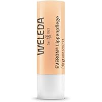 【公式】WELEDA(ヴェレダ) リップクリーム 4.8g 唇の保護に リップケア なめらか ローズとバニラの香り 天然由来成分 オーガニック
