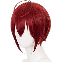 Amazon.co.jp: ツイステ ルーク・ハント コスプレウィッグ