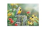 Meadowlark Morning 1000 piece Puzzle [Toy] by Outset Media Games