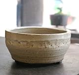 盆栽鉢　信楽焼鉢　白　直径１２ｃｍ　鉢底ネット付