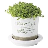 レタープランター ミニ植木鉢 ラウンド型 受皿付き 3号用 ホワイト 白