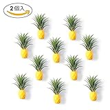 Aieve-JP 植物ホルダー フラワーベース プランター おしゃれ マグネット 人工観葉植物 観葉植物 光触媒 造花 多肉植物 インテリア 壁飾り DIY多功能収納スタンド 2個セット パイナップル