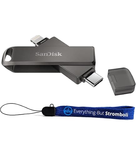 Amazon.co.jp: SanDisk iXpand Luxe 128GB Flash Drive : パソコン