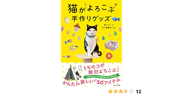 猫がよろこぶ手作りグッズ 西 イズミ 五十嵐 健太 本 通販 Amazon