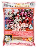 平和 シャコバサボテンの培養土 10リットル