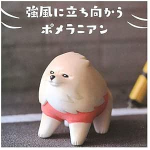 Amazon アニマルアトラクション ぽめさんぽ 1 強風に立ち向かうポメラニアン 白 単品 ガチャガチャ カプセルトイ フィギュア ドール 通販