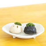 苔盆栽 モスモス モスコトリ ２匹 受け皿（白）セット