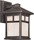 Forte Lighting 1773-01-28 Exterior Wall Light with Honey Glass Shades, Painted Rust [並行輸入品]