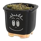 聖新陶芸 バーバーモジャ 苔盆栽