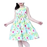 Ruideng 女の子の夏の新しいドレスプリンセスドレスノースリーブシフォンパーティードレスワンピースのスカートのドレスの公演発表会 結婚式 入園式 演奏会 (120cm) (160cm, G)