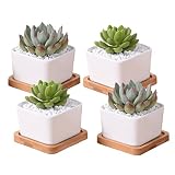 RCZH 4個 3.5インチ白い盆栽ポットと皿、ミニセラミック多肉植物花ポット - 4個入り