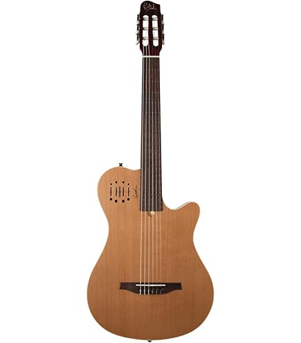 Amazon | GODIN (ゴダン) ナイロンギター エレガットギター Multiac