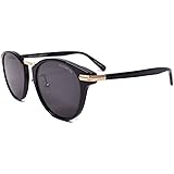 BLACK FLYS ブラックフライ サングラス FLY VINCENT BF-13841 01BLKGOLDGREY
