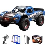 Ritaosan 高速 ラジコンカー 40/60km/h ブラシレスモーター ラジコン オフロード 4WD 大人向け 人気 バッテリー2個 操作時間40分 1/14 LEDライト 2.4Ghz 四輪駆動 レーシング 電動 おもちゃ 子供向け 車 技適認証済み 男の子 誕生日 プレゼント クリスマス お祝い 贈り物 Q130 (青 ブラシ付きモーター40km/h)