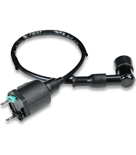 Amazon | INEX 強化イグニッションコイル IGコイル 12V ライブディオZX