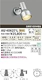 コイズミ アウトドアLEDスポットライト AU40627L