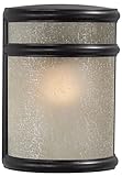 Minka Lavery 9811-166 1 Light Outdoor Pocket Lantern, Corona Bronze Finish [並行輸入品]