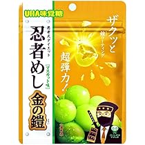 シャインマスカットボンボン 忍者めし 鉄の鎧 51s6J0xUtSL._AC_UL210_SR210,