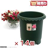 箱売り リッチェル バラ鉢 ダークグリーン 12号 φ36×36cm お買い得14個入り