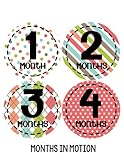 Months in Motion 267 Baby Month Stickers for Newborn Girl Colorful Design by Months In Motion