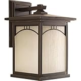 Progress Lighting P6054-20 Residence 1 Light Large Wall Lantern 10 [並行輸入品]