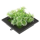 Dovewill 全11種類選ぶ　人工多肉植物　ウォール　壁掛け　ハンギング　ポスターボード　装飾用　飾り - 多肉植物10