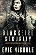 Blackbird Security (English Edition)