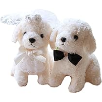 51s8gSUpbwL._AC_UL210_SR210,