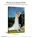 (30cm x 46cm, 1.25" Gallery Wrap) - Avercart Custom Canvas Photo Print/Turn Your Image into Canvas A