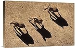 グローバルギャラリーAfrican ElephantトリオAerial withシャドウアフリカ壁アート 24W x 16H in. ブラック GCS-396301-1624-142