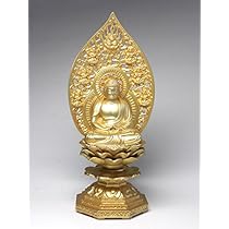 51sC7ms4ncL._AC_UL210_SR210,