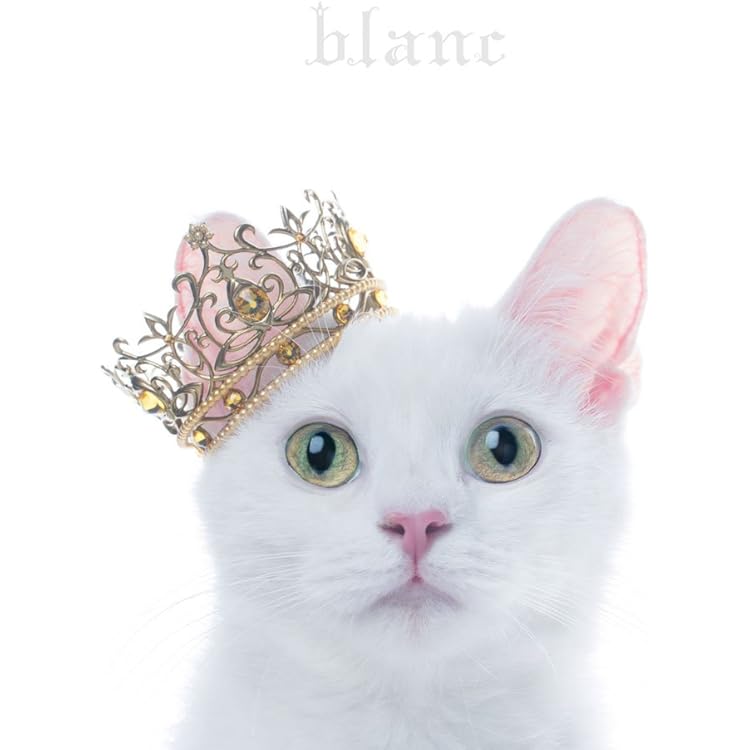 Amazon.co.jp: Open α Door (初回生産限定盤B) - Aimer