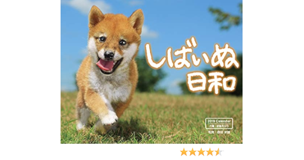 しばいぬ日和 インプレスカレンダー19 森田米雄 本 通販 Amazon
