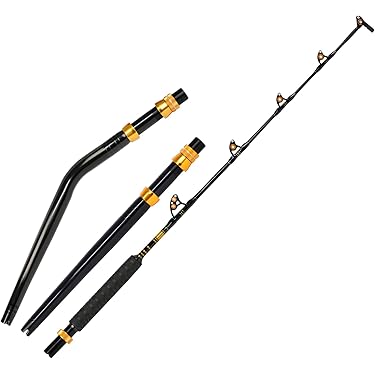 Amazon.co.jp 売れ筋ランキング: トローリングロッド の中で最も