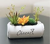 CCTZアイデアの盆栽 小さい盆栽 人工植物 多肉盆栽の置物 人工観葉植物 プルトップ缶鉢のデザイン アロエ