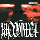 Reconnect (LP) (Ltd) [Analog]