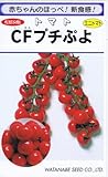 【種子】トマト CFプチぷよ コート種子約11粒