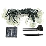 Creative Motion 40-Light Solar Light Chain with Butterfly Decoration, White Led [並行輸入品]